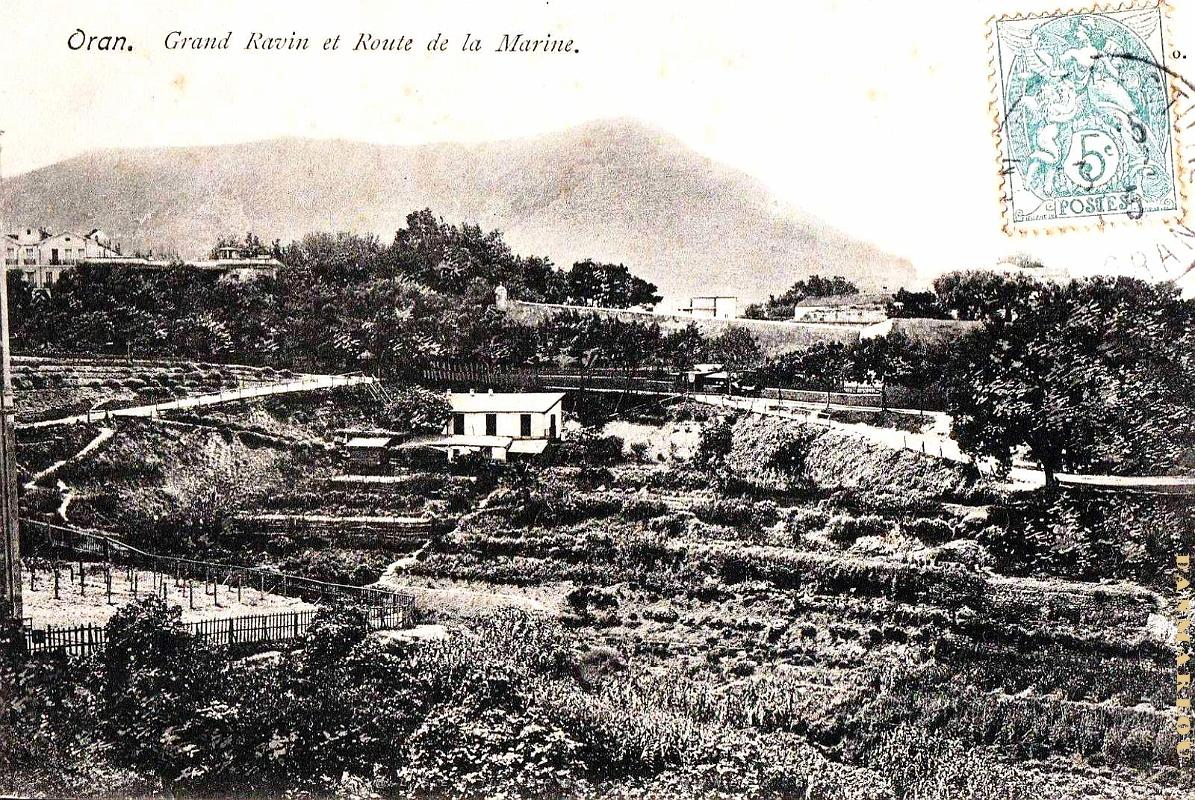 Oran - Grand Ravin et Route de la Marine - Vue depuis le Lycee Lamoriciere - 1905.jpg